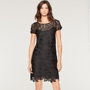 Milly Lace Chloe Dress